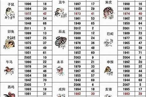 05年生肖|2005年属什么生肖 2005年属什么的生肖